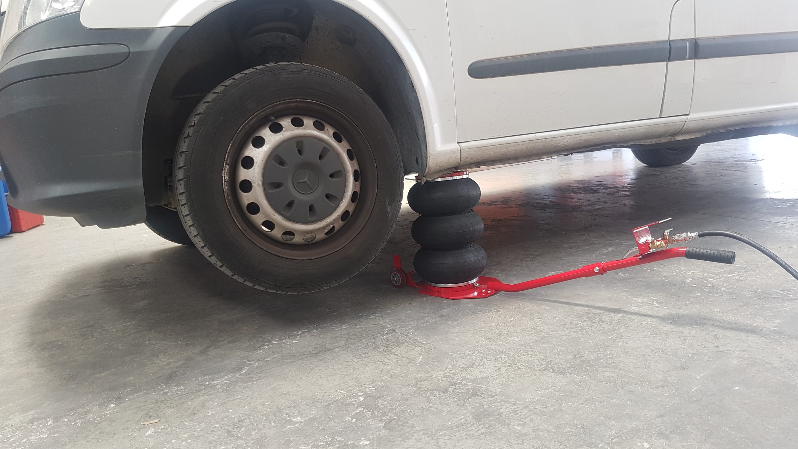 Gato Balon Everforce 3 tn - Imagen 3