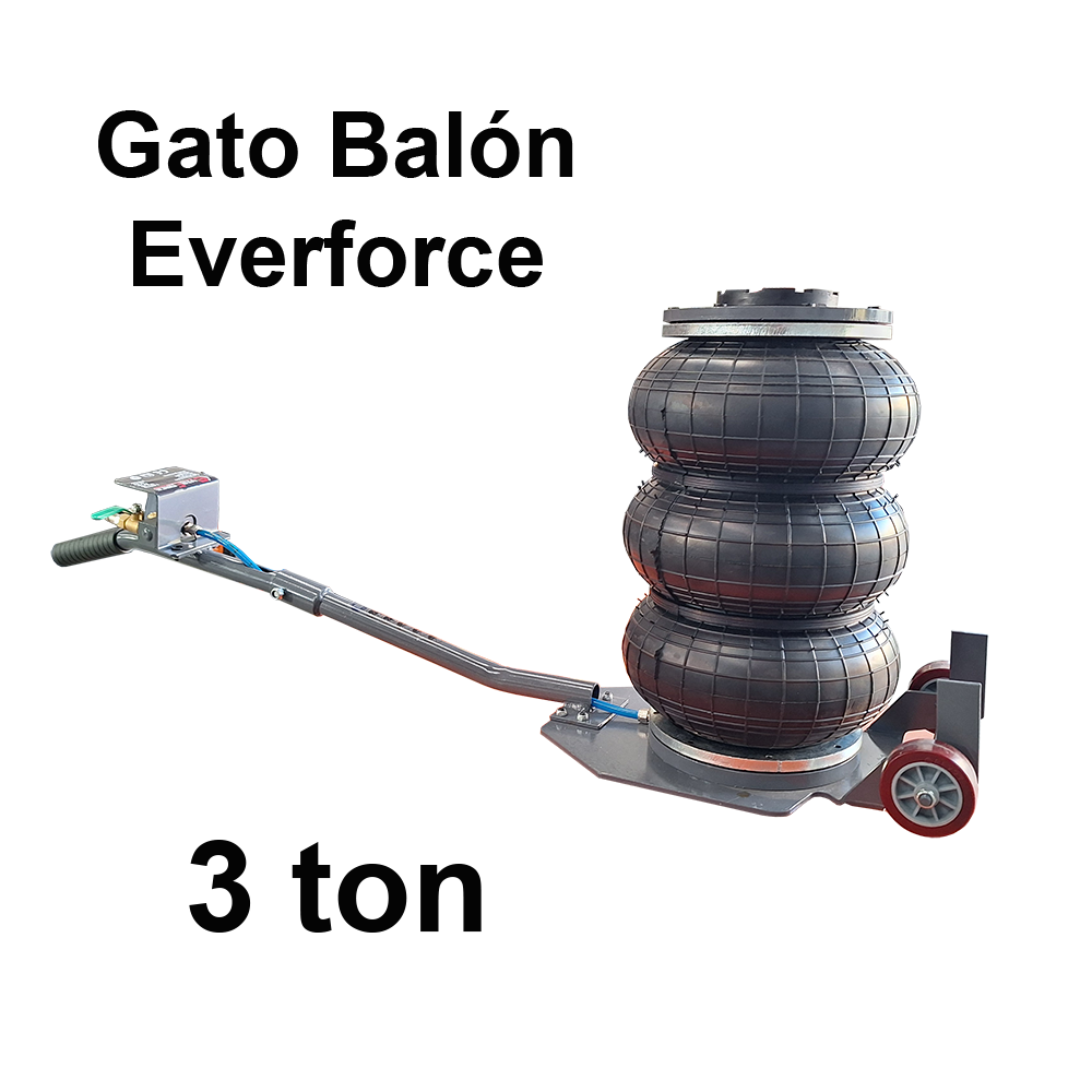 Gato Balon Everforce 3 tn