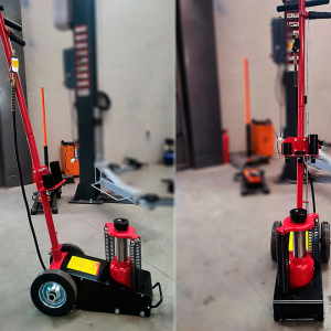 Gato de 22 Toneladas Widmann